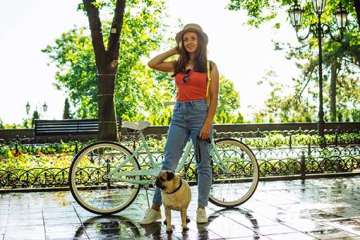 7 Best Bike Shops in Hawaii!