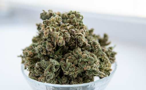 8 Best Marijuana Dispensaries in Hawaii!